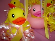 ducks