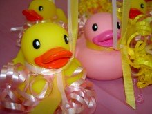 ducks